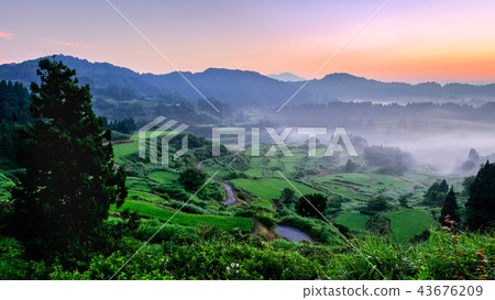 Terraced rice terrace (morning view) 43676209