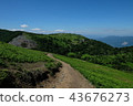 Mt. Fujiwara下山從山頂 43676273