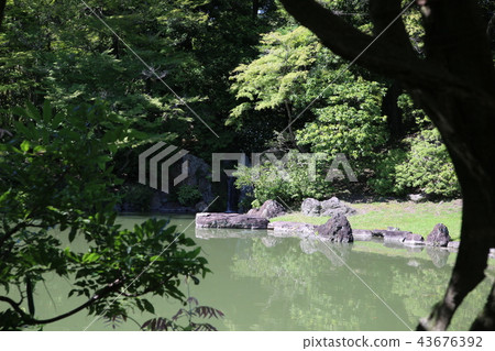 森洞故宮 43676392