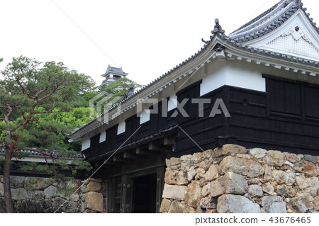 Kochi Castle castle gate and castle tower 43676465