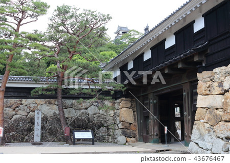 Kochi Castle castle gate and castle tower 43676467