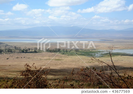 Tanzania, Ngorongoro Conservation Area, Ngorongoro Crater Tanzania, Ngorongoro Conservation Area, Ngorongoro Crater 43677569