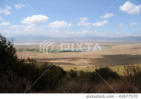 Tanzania, Ngorongoro Conservation Area, Ngorongoro Crater 43677570