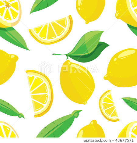 Lemon slices vector citrus seamless pattern Lemon slices vector citrus seamless pattern 43677571