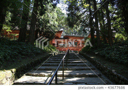 Hiezan Enryakuji 43677686