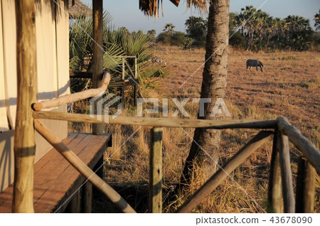 Maramboi Tent Lodge near Tarangire, Tanzania Maramboi Tent Lodge near Tarangire, Tanzania 43678090