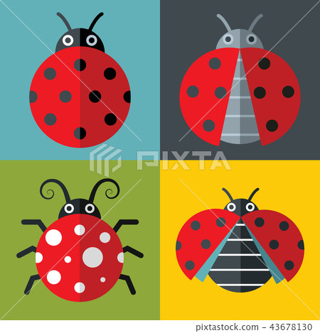 Ladybug icons in flat style on color background 43678130