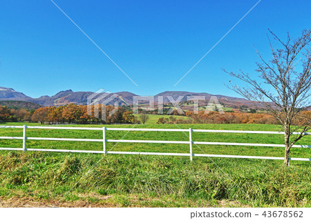 Nasu highland ranch Nasu highland ranch 43678562