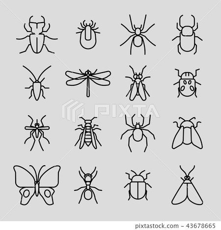 Insect vector thin line icons set Insect vector thin line icons set 43678665