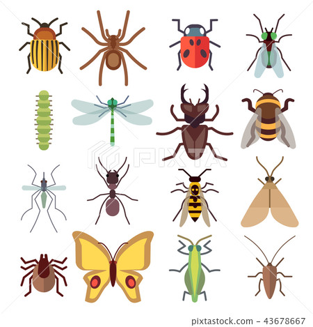 Insect vector flat icons isolated on white background 43678667