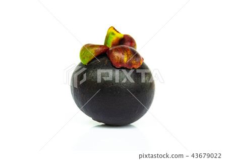 Mangosteen isolated on white background Mangosteen isolated on white background 43679022