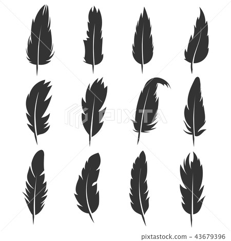 Feather, antique pen black vector icons isolated on white background 43679396