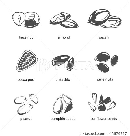 Seeds and nuts monochrome vector icons Seeds and nuts monochrome vector icons 43679717