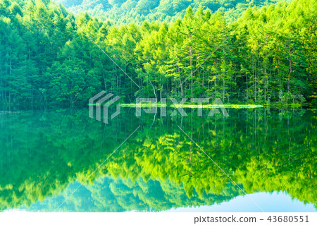 清新的綠色,生態形象“長野縣,Akaike” 清新的綠色,生態形象“長野縣,Akaike” 43680551