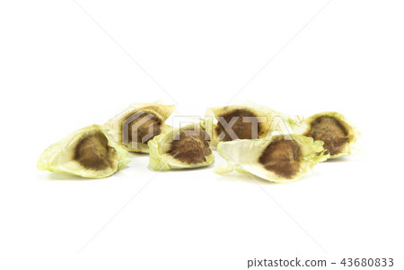 Moringa oleifera seed isolated on white background Moringa oleifera seed isolated on white background 43680833