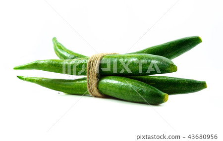 Snake gourd isolated on white background 43680956