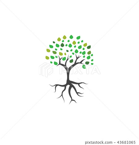Tree and root logo icon vector template 43681065