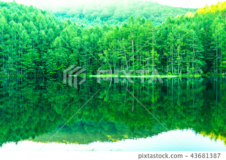 Fresh green, eco-image "Nagano prefecture, Akaike" 43681387