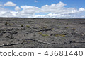 Hawaii lava 43681440