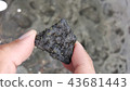 Hawaii lava 43681443