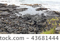 Hawaii lava 43681444