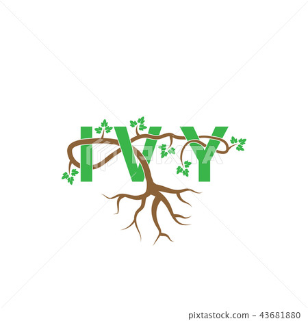 Ivy woven through ivy letter vector - Stock Illustration [43681880] - PIXTA