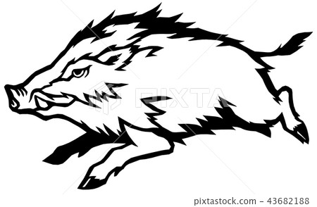 Cutout boar monochrome 43682188