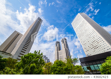 Shinjuku / Tall Buildings Shinjuku / Tall Buildings 43682423