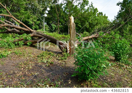 The power of a 40msec typhoon The power of a 40msec typhoon 43682815