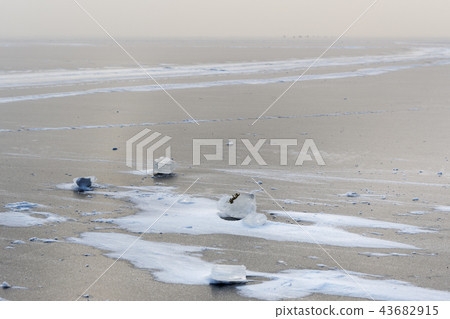 View of frozen Gulf of Finland in wiinter View of frozen Gulf of Finland in wiinter 43682915