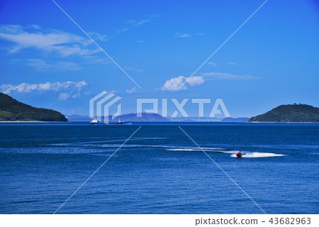 Bingo summer Bingo summer 43682963