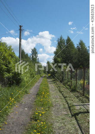 Soil road with broken stones Soil road with broken stones 43683923