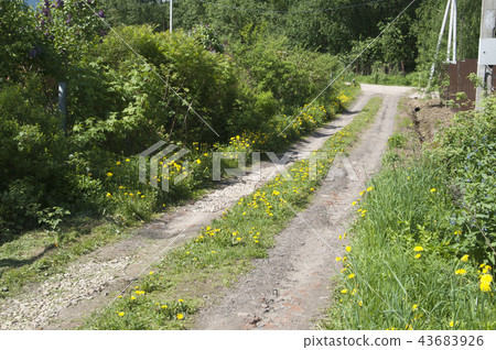 Soil road with broken stones Soil road with broken stones 43683926