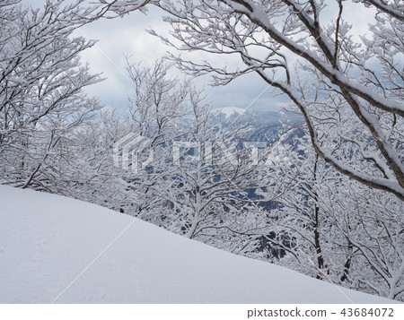 Mountain climbing 43684072