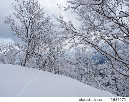 Mountain climbing 43684073