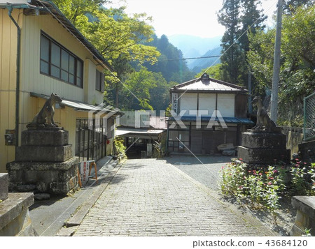 Mitaka Shrine Omotesando Mitaka Shrine Omotesando 43684120