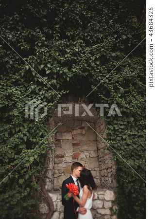 Elegant beautiful wedding couple, bride and groom posing in park near a wall of bushes 43684328