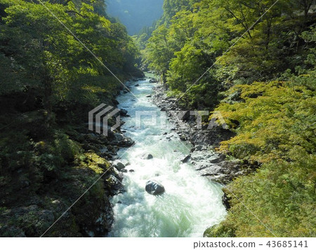 View from Mitaka Shrine Omotesando Toryu Bridge 43685141