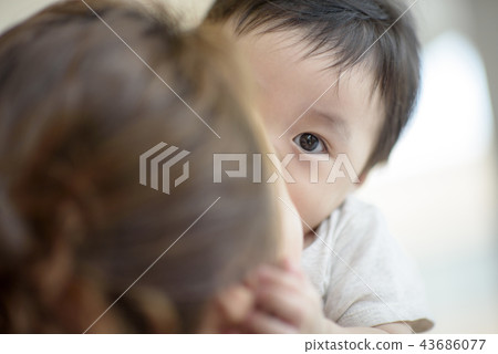 三個授權家庭 43686077