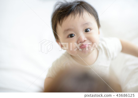 Three authorized families 43686125