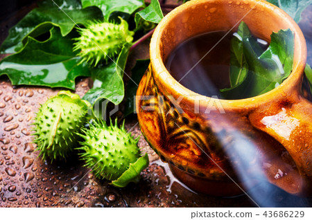 Natural herbs medicine,datura Natural herbs medicine,datura 43686229