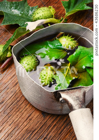 Natural herbs medicine,datura Natural herbs medicine,datura 43686230