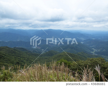 Democratic Jisan 43686881