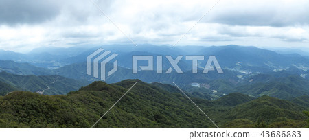 Democratic Jisan 43686883