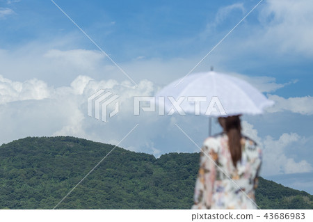 夏日的回憶 夏日的回憶 43686983