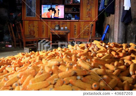 Corn storage Corn storage 43687203