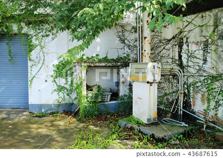Out-of-business gas stations that are becoming jungle 43687615