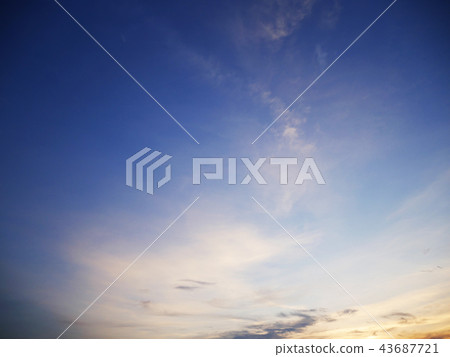 Beautiful sunlight and tree field landscape. 43687721