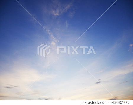 Beautiful sunlight and tree field landscape. 43687722
