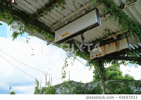 Out-of-business gas stations that are becoming jungle 43687831